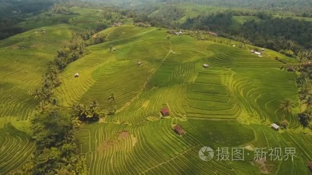 印尼巴厘岛梯田景观视频