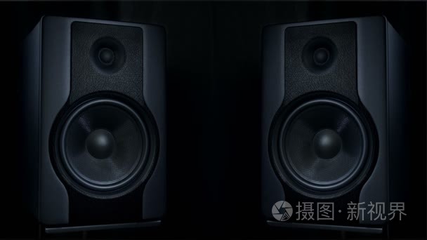 两个圆形音频扬声器振动组