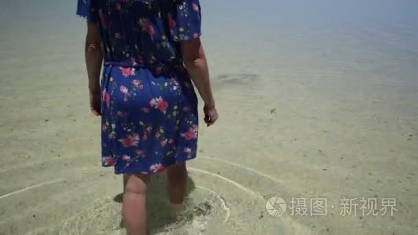 贝壳海滩珊瑚海岸视频