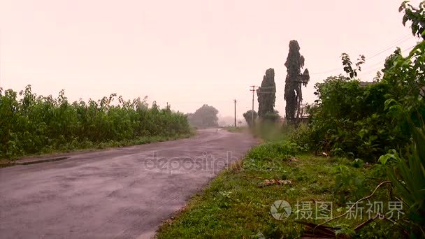 自然背景下的印度乡村之路视频