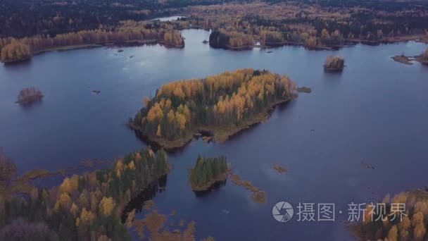 在秋天森林中央的一个蓝色的湖上的木本岛屿。空中射击