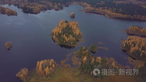 在秋天森林中央的一个蓝色的湖上的木本岛屿。空中射击