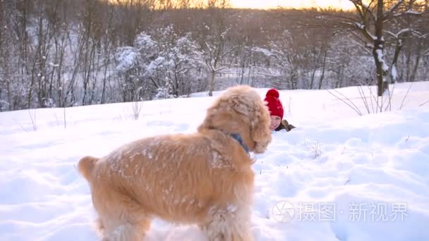 狗会跑到她的主人在雪林视频