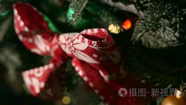 圣诞装饰品分支杉木视频
