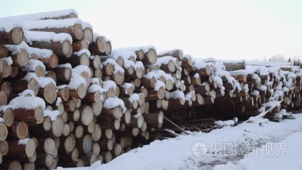 冬日积雪覆盖的原木堆