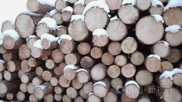 冬日积雪覆盖的木材桩的全景图