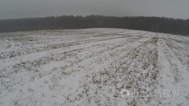 森林里强烈的暴风雪视频