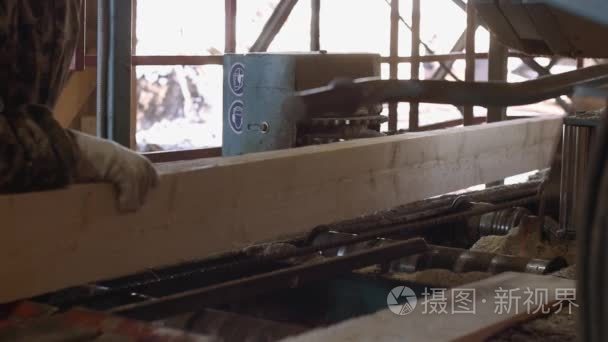 木匠操作工业锯机用木日志视频