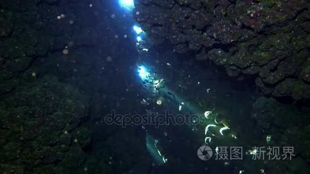 洞穴潜水水肺潜水潜水员探索洞穴潜水