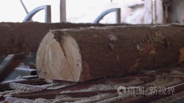 精密激光切割原木工业锯机视频