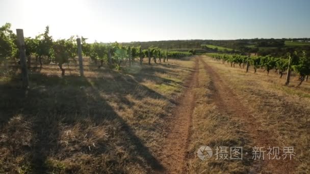 澳洲葡萄酒产区视频