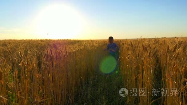 孩子们在麦田里绕着夕阳奔跑