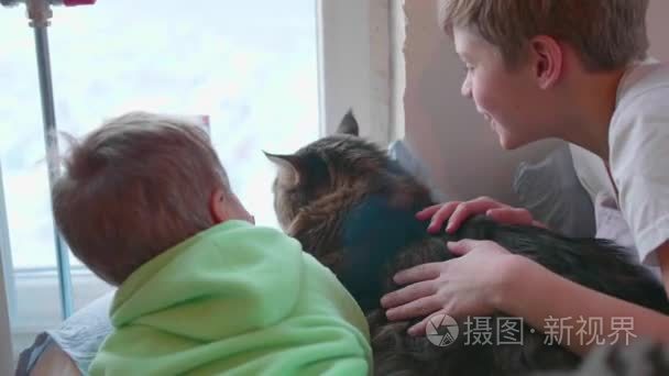 两个带着猫的孩子躺在地板上, 向窗外看。宠物与孩子之间的友谊