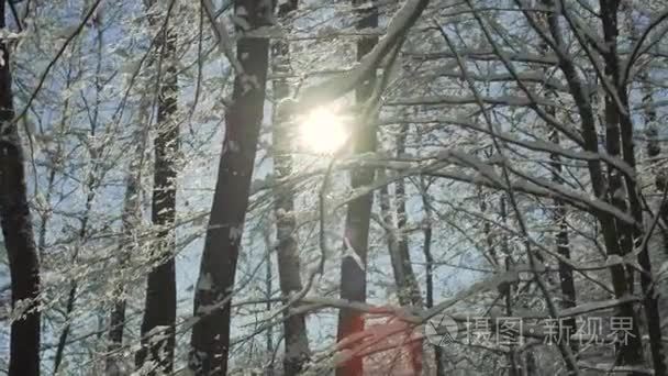 圣诞气氛魔术冬天看视频