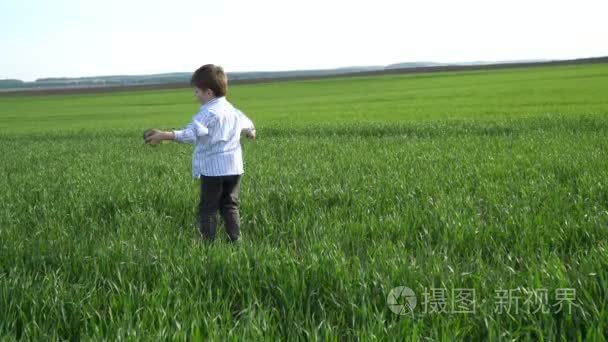 小男孩在田野上散步  抚摸着绿色的麦子。孩子手摸麦子。收获概念。收获概念