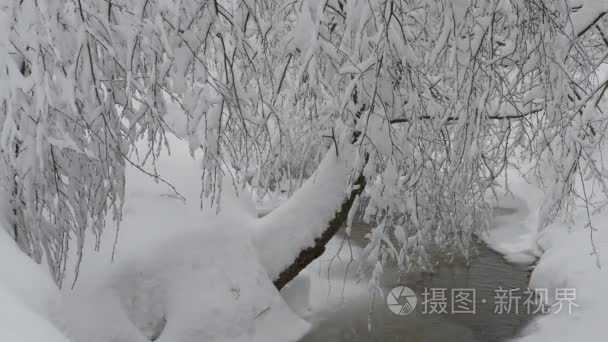 美丽的冬天风景与雪被盖的树和结冰的森林河