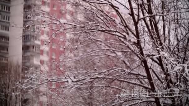 莫斯科住宅区内积雪覆盖的汽车视频