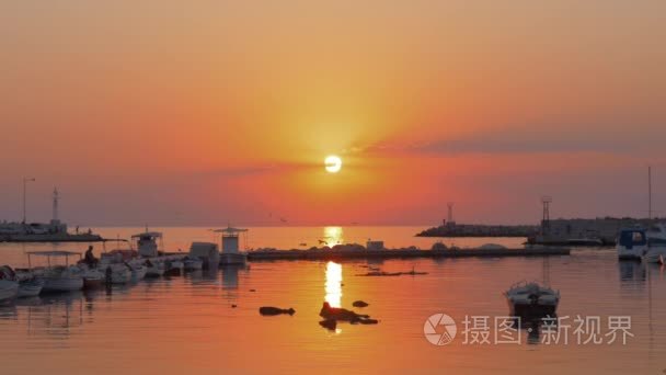 日落时的小港湾和海鸥