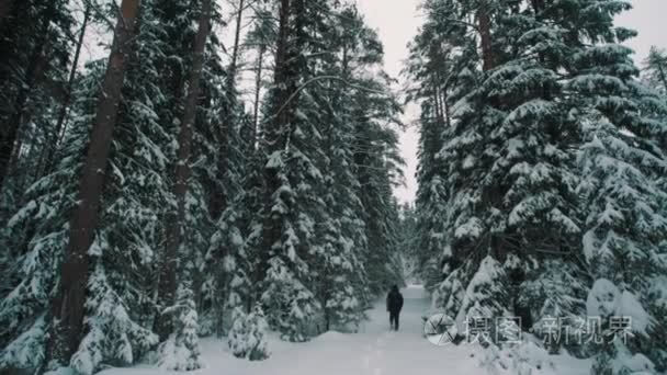 冬天在树林里漫步在雪地上的年轻人