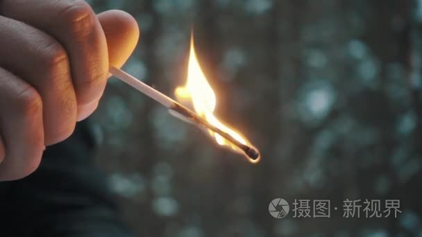 男子手捧火烧火柴棍在森林里视频