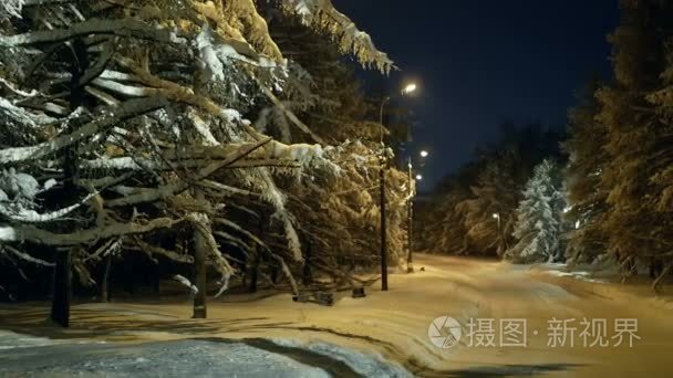 夜冬公园灯视频