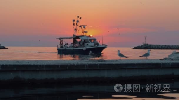 日落在海。帆船和海鸥的场面