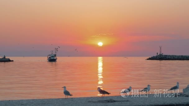 海洋场面与小船和海鸥在日落