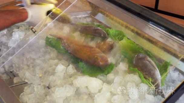 海鲜食品店的鲜鱼视频