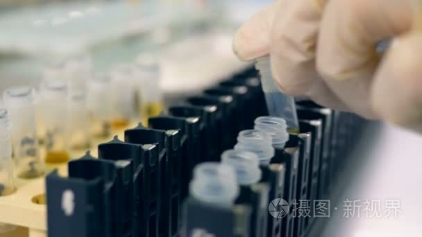 科学家把病毒样本放在瓶子里。微生物学科学概念