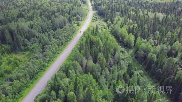 一条路的鸟瞰在秋天被松树森林包围。剪辑.森林中道路的最高视图