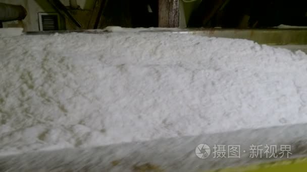 糖炼厂沿输送带移动的水晶糖。4k视频