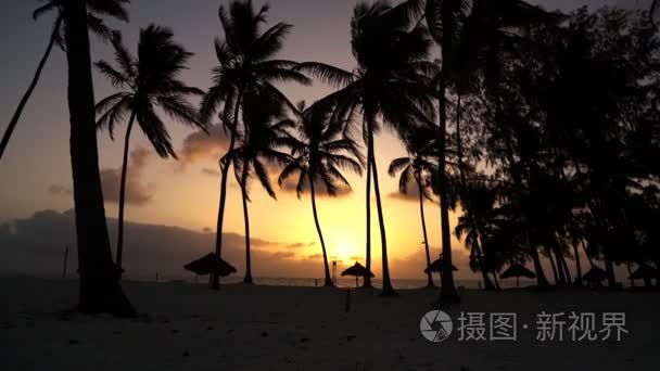 清晨, 女孩在棕榈树中奔跑着。