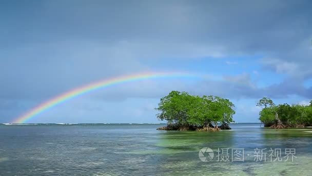多彩彩虹在加勒比海视频