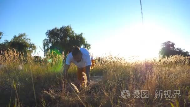 多莉拍摄的年轻人练习瑜伽动作和立场在垫子上的领域。在阳光明媚的日子  运动的家伙在草地上做运动。背景下的阳光。健康的积极生活方式