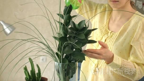 女人手喷绿植物视频