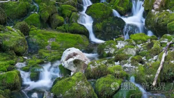 河落在苔藓的石头里视频