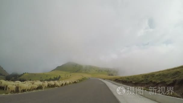 从驾车车上看到的田园山水景观在云雾缭绕的山丘和羊群中漫步