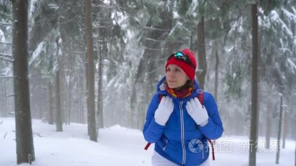 孤独的旅游女孩走在一个冬天积雪覆盖的针叶林在山上。严寒天气