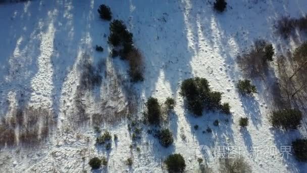 冰雪覆盖的冬季冰冻森林鸟瞰图视频