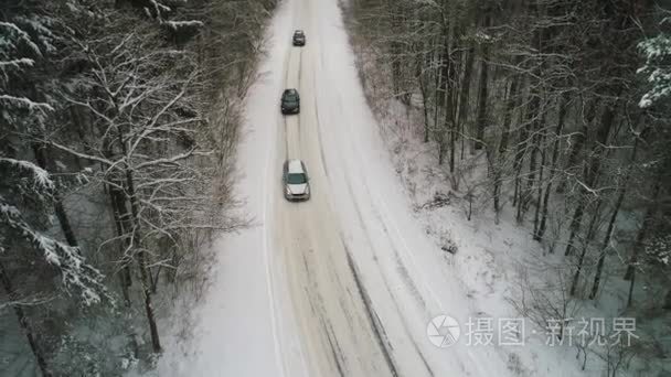 冬季森林中汽车行驶的鸟瞰图视频