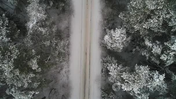 冬雪森林鸟瞰图视频