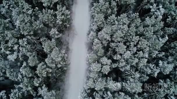 冬雪森林鸟瞰图