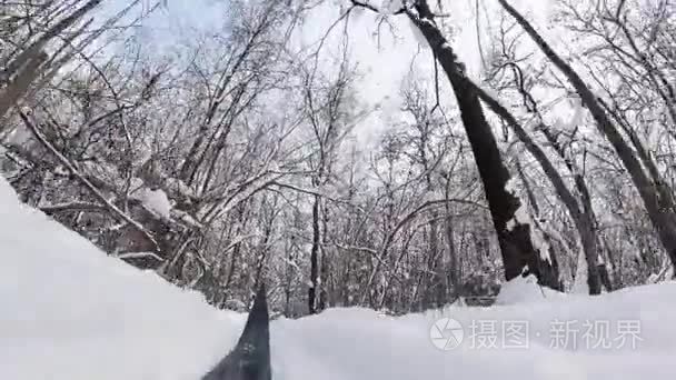 冬天森林里的人滑雪