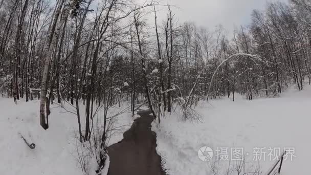 冬天森林里的人滑雪视频