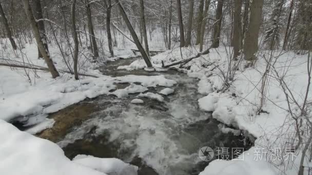 雪岸边冬雪林中的小溪视频