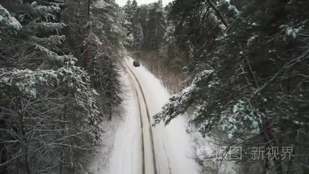 冬季森林中汽车行驶的鸟瞰图