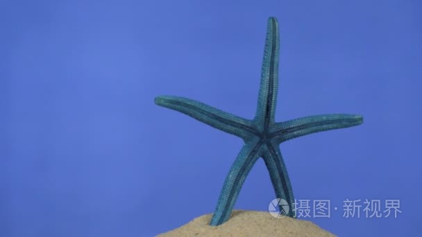 在沙子上旋转蓝色海星。孤立