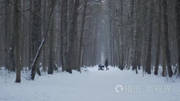 忙碌的年轻母亲走下雪的公园推着一个婴儿婴儿推车, 平静的睡眠活跃的生活方式的女人