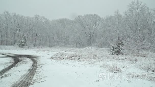 美丽的冬天风景雪风暴与树视频