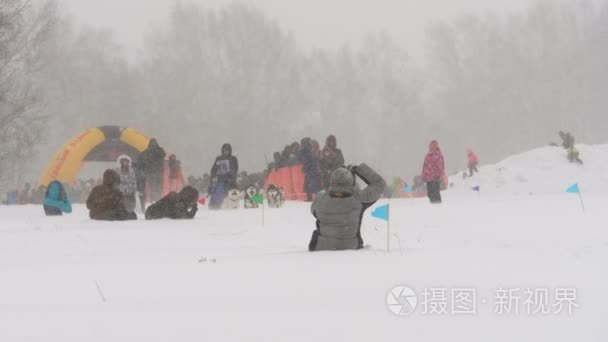 团队的哈士奇雪橇犬狗驱动程序视频